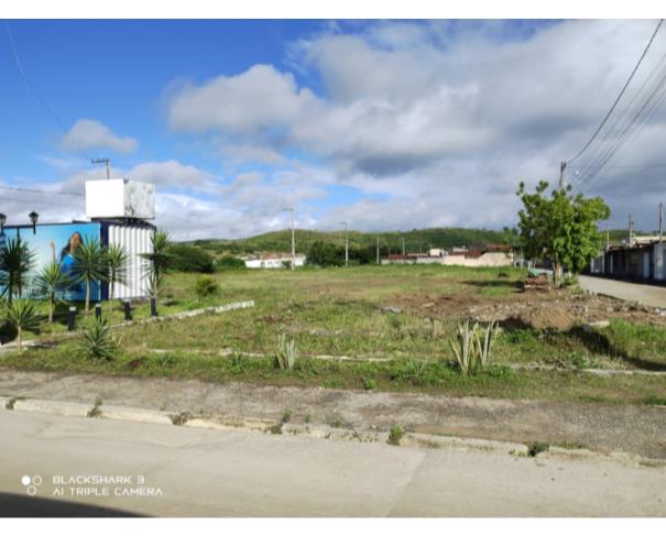 Foto de 24 Lotes - Loteam. Timbaubinha - Timbaúba - PE