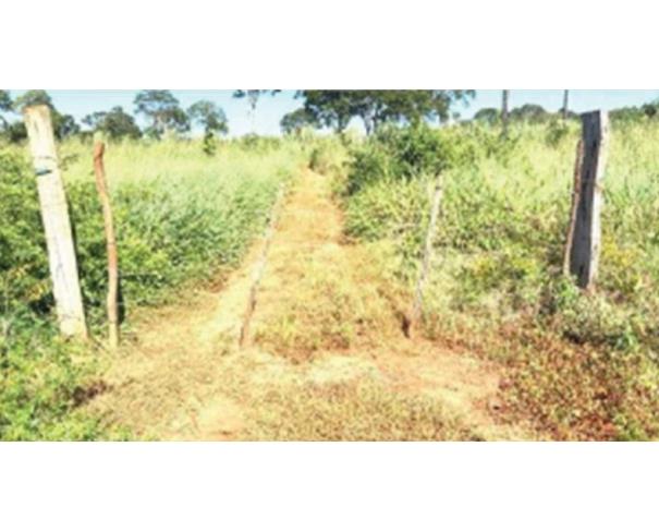 Foto de Lote 23 - Estreito - MA - zona rural - Fazenda