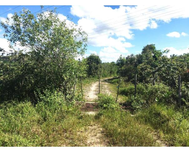 Foto de Lote 3 - Distrito Industrial - Candeias - BA - Fazenda