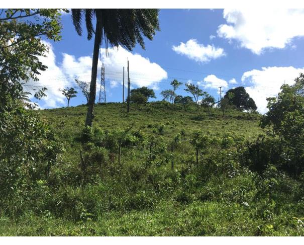 Foto de Lote 3 - Distrito Industrial - Candeias - BA - Fazenda