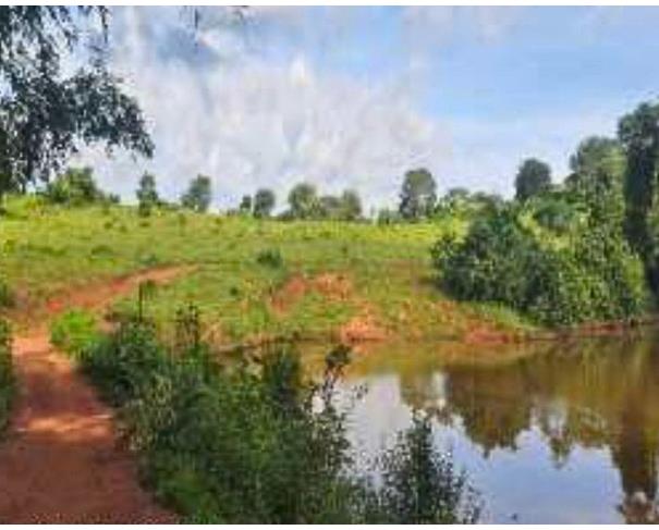 Foto de Cumari - GO - Imóvel Rural