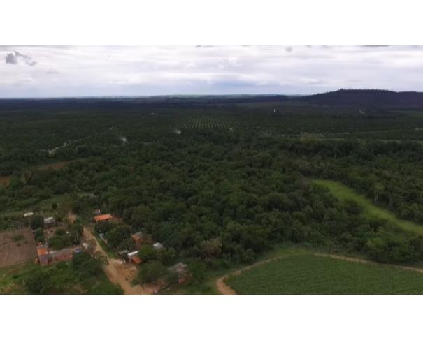 Foto de Araras - SP