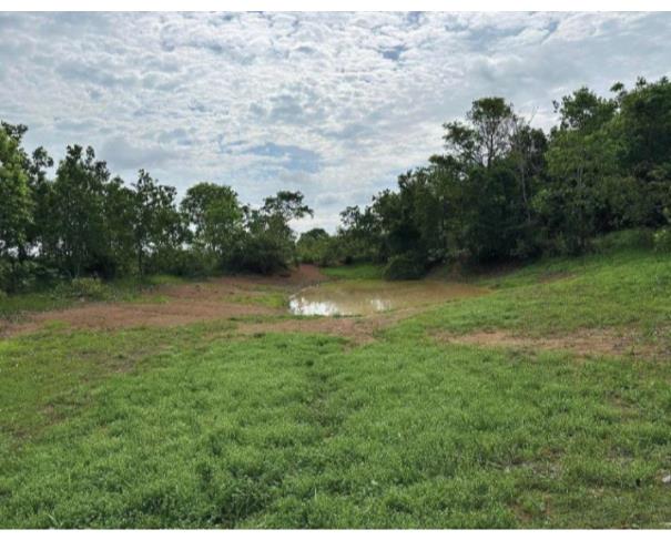 Foto de Lote 11 - Araguaçu - TO - zona rural - Fazenda