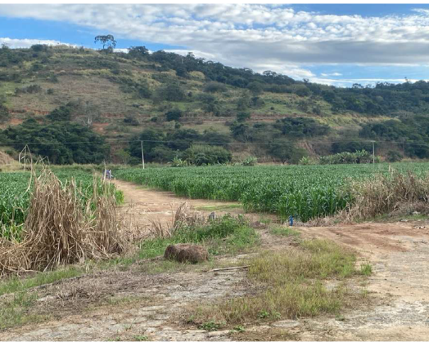 Foto de Lote 2 - Além Paraíba - MG - Rural - Galpão