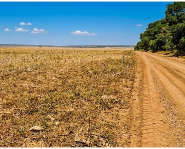 Foto de Fazenda Esmeralda com 1.020 HA