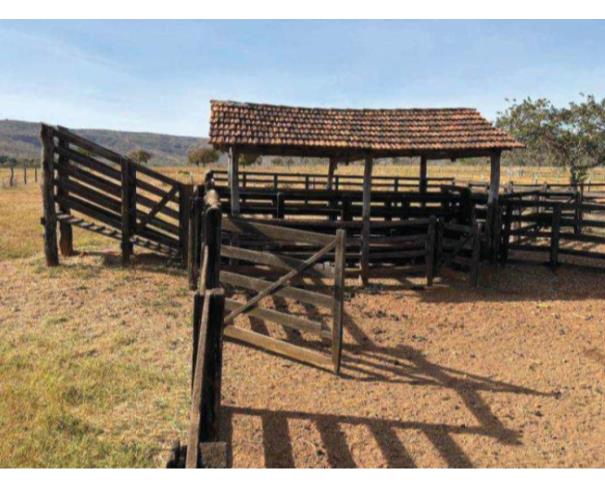 Foto de Lote 3 - Buritis - MG -  zona rural - Fazenda