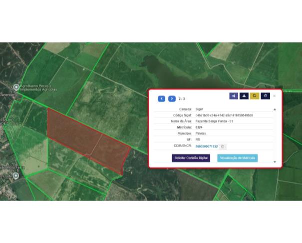 Foto de Lote 22 - Pelotas - RS - Imóvel Rural