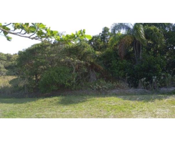 Foto de Lote 20 - Ilha Comprida - SP - TERRENO