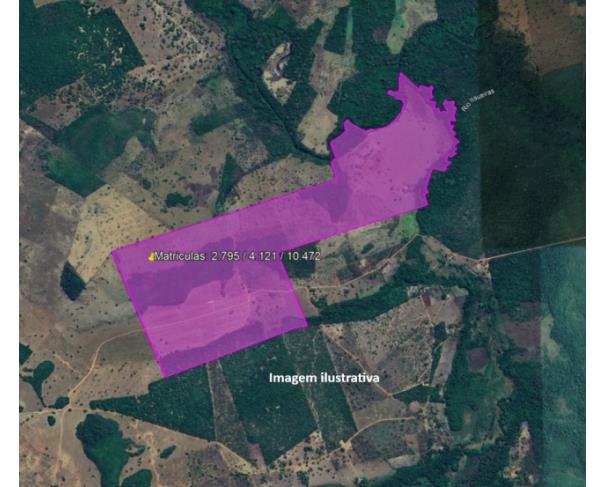 Foto de Lote 23 - Estreito - MA - zona rural - Fazenda