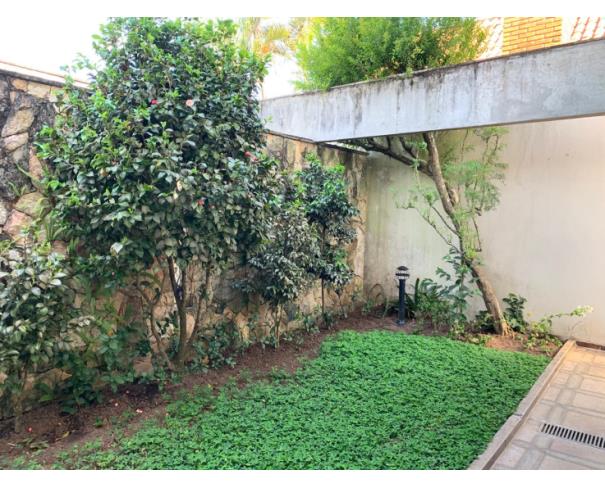 Foto de Interlagos - São Paulo - SP