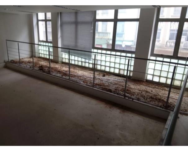 Foto de Lote 8 - São Paulo - SP - Centro/Sé - Prédio Comercial
