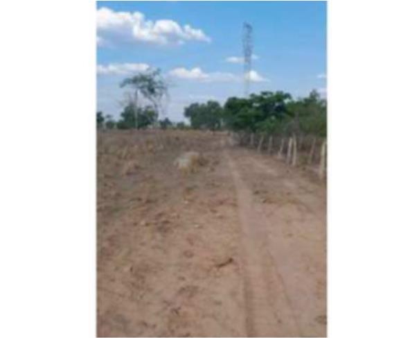 Foto de Lote 31 - Presidente Kennedy - TO -  zona rural - Fazenda