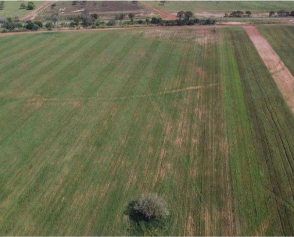 Foto de Lote 4 - Rio dos Bois - TO - zona rural - Fazenda