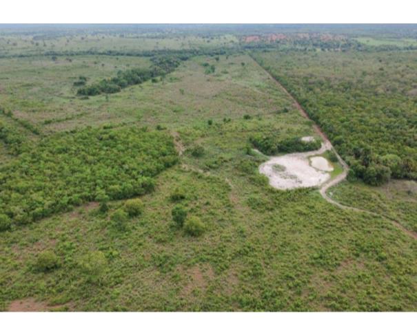 Foto de Lote 11 - Araguaçu - TO - zona rural - Fazenda