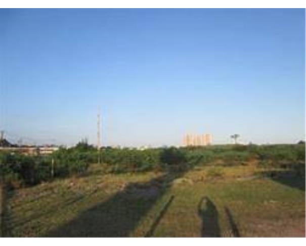 Foto de Lote 7 - Granja dos Cavaleiros - Macaé - RJ - Terreno