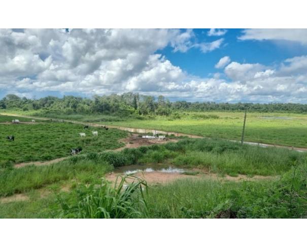 Foto de Lote 1 - Jussara - GO - zona rural - Fazenda