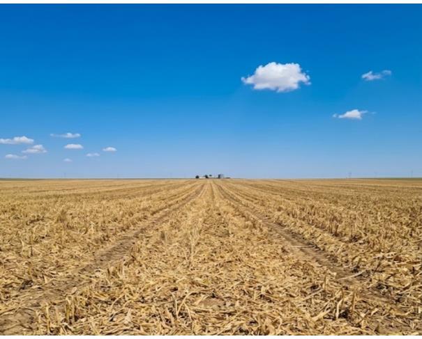 Foto de Fazenda Esmeralda com 1.020 HA