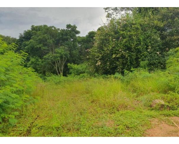 Foto de Lote 11 - Sorocaba - SP - Jardim Novo Mundo - Terreno