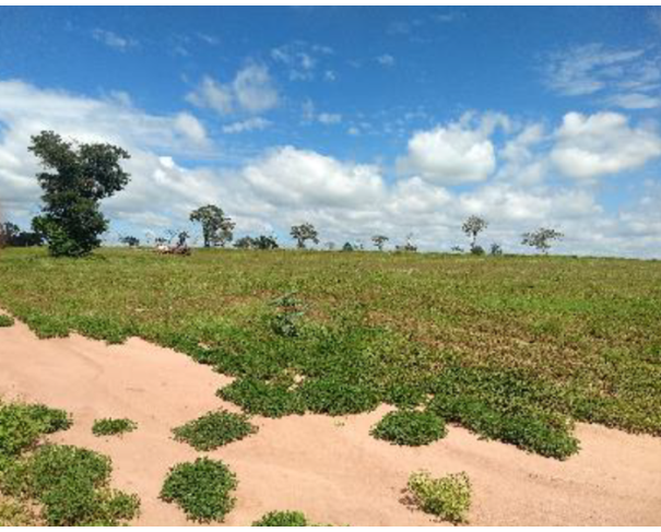 Foto de Área de Terras em Brotas - SP