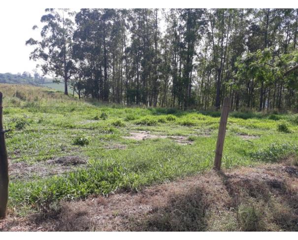 Foto de Sítio Lageado IV - Piracicaba - SP