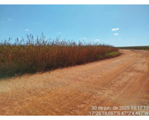 Foto de Paracatu - MG - Fazenda Nossa Sra. Aparecida