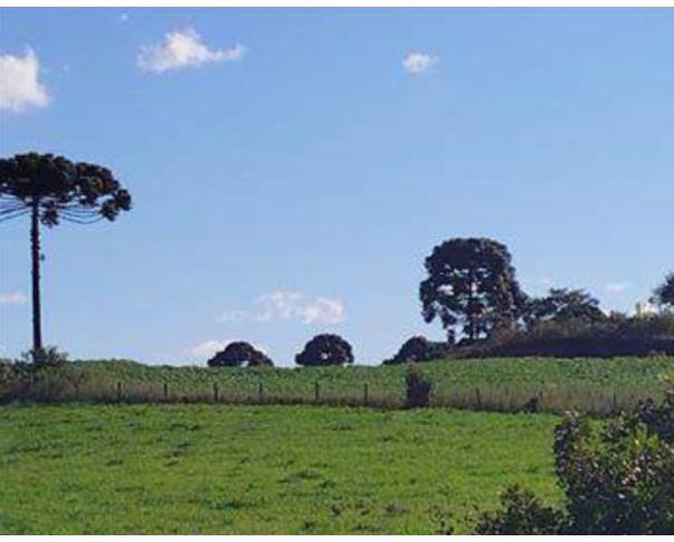 Foto de Cerro Negro - SC - Área Rural