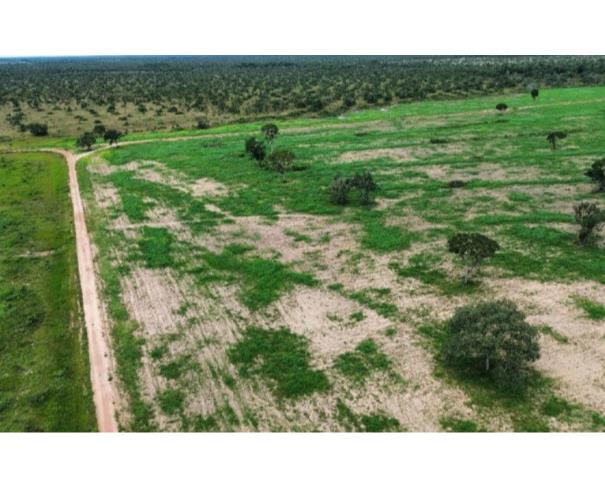 Foto de Lote 2 - São Félix do Araguaia - MT - zona rural - Fazenda