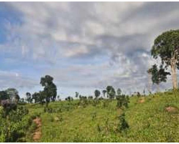 Foto de Cumari - GO - Imóvel Rural