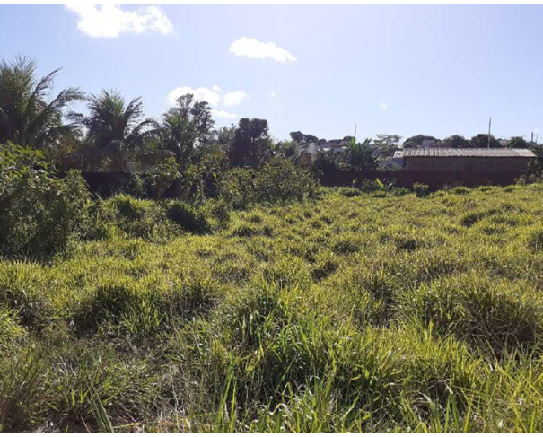 Foto de Terreno com 1.499 m² - Umuarama - PR