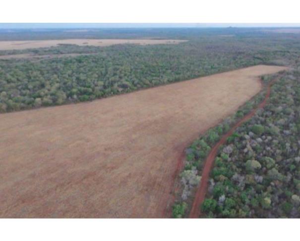 Foto de Lote 17 - Ipueiras - TO -  zona rural - Área de Terras