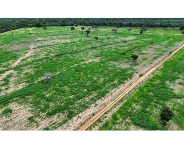 Foto de Lote 2 - São Félix do Araguaia - MT - zona rural - Fazenda