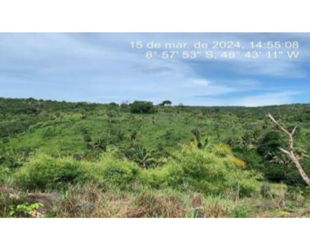 Foto de Lote 27 - Colméia - TO -  zona rural - Fazenda