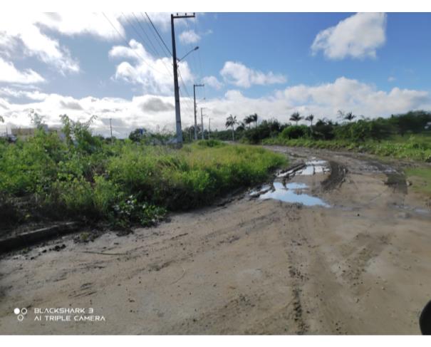 Foto de 24 Lotes - Loteam. Timbaubinha - Timbaúba - PE