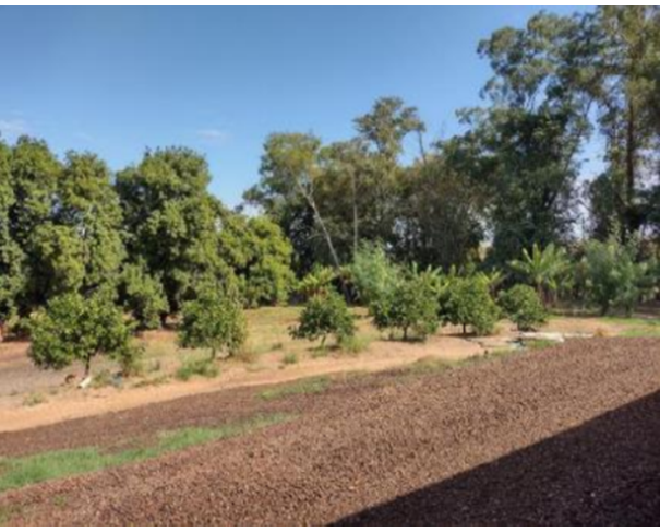 Foto de Distrito de Dirceu - Júlio Mesquita - SP - Imóvel Rural