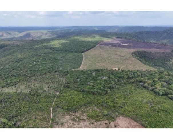 Foto de Lote 7 - Paulo Ramos - MA - zona rural - Fazenda