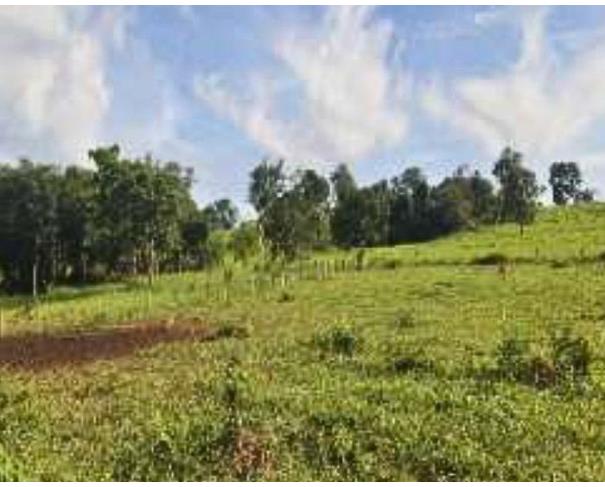 Foto de Cumari - GO - Imóvel Rural