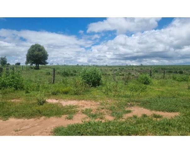 Foto de Lote 1 - Jussara - GO - zona rural - Fazenda