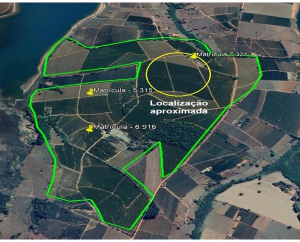 Fazenda Jacutinga - 20 hectares