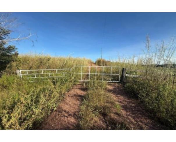 Foto de Lote 20 - Colméia - TO -  zona rural - Fazenda
