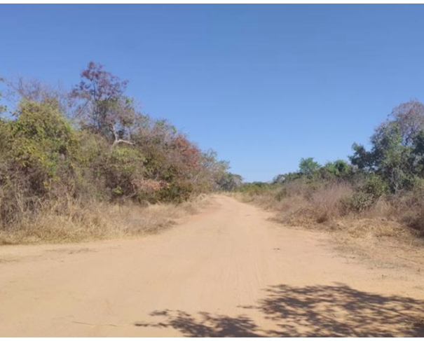 Foto de Lote 9 - Logoa Grande - MG - Fazenda