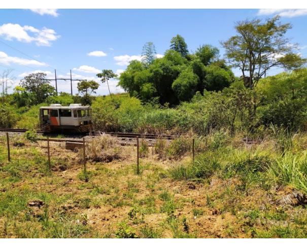 Foto de Lote 1 - Candeias - BA - Madeira - Terreno Urbano