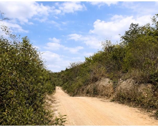 Foto de Área de terras com 281 ha - Araçuaí - MG