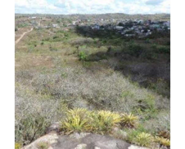 Foto de Lote 9 - Bom Jardim - PE - Gleba de Terras