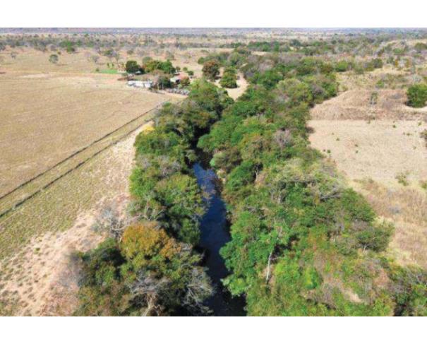 Foto de Lote 3 - Buritis - MG -  zona rural - Fazenda