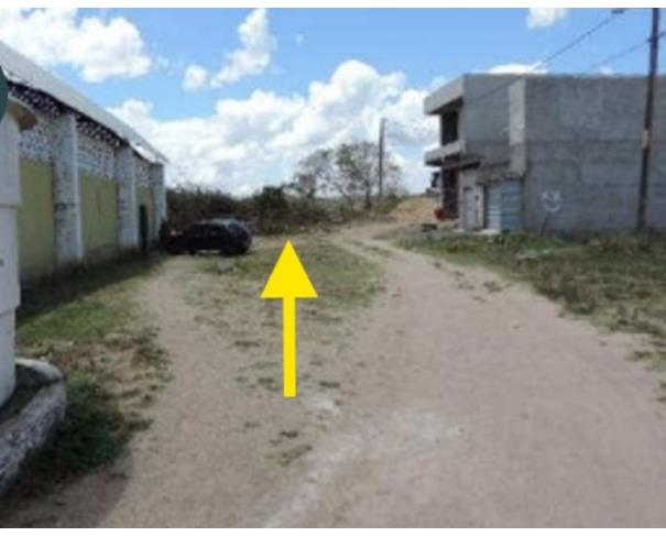 Foto de Lote 9 - Bom Jardim - PE - Gleba de Terras