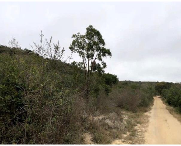 Foto de Área de terras com 281 ha - Araçuaí - MG