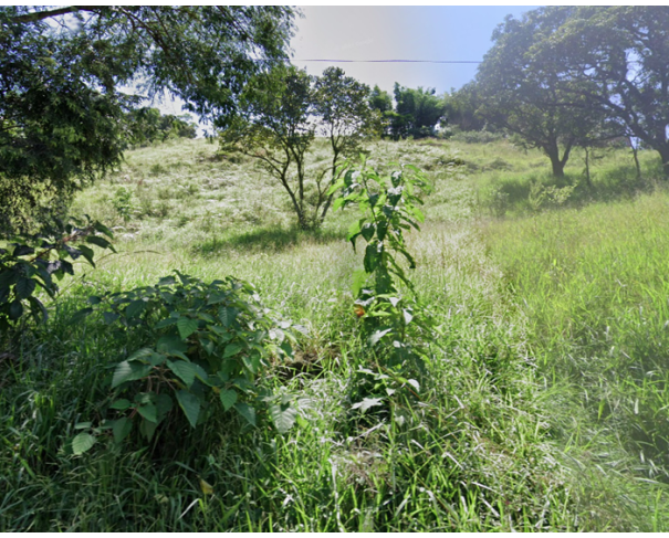 Foto de Lote 3 - Barueri - SP - Terreno com 2.070 m² - Chácara 250