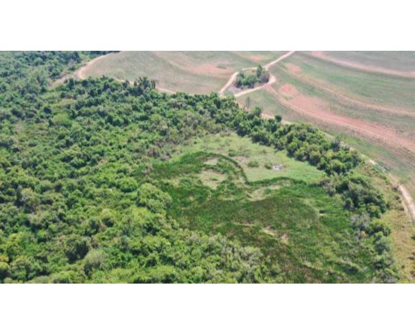 Foto de Lote 2 - Braúna - SP - Zona Rural - Área de terras