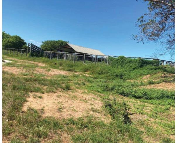 Foto de Lote 4 - Rio dos Bois - TO - zona rural - Fazenda