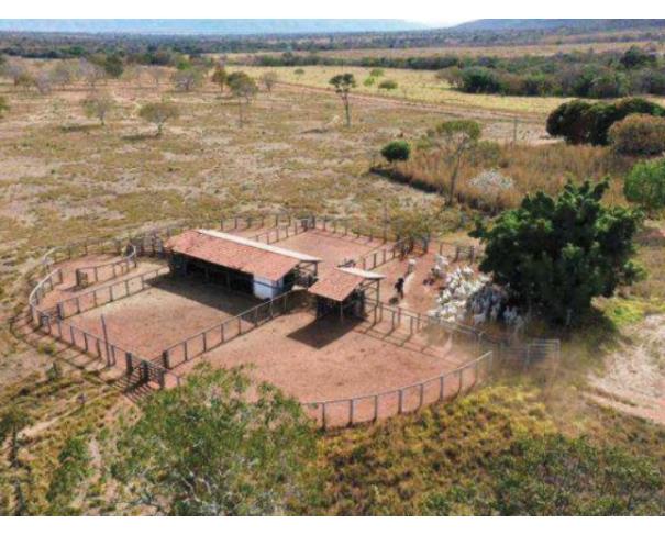 Foto de Lote 3 - Buritis - MG -  zona rural - Fazenda